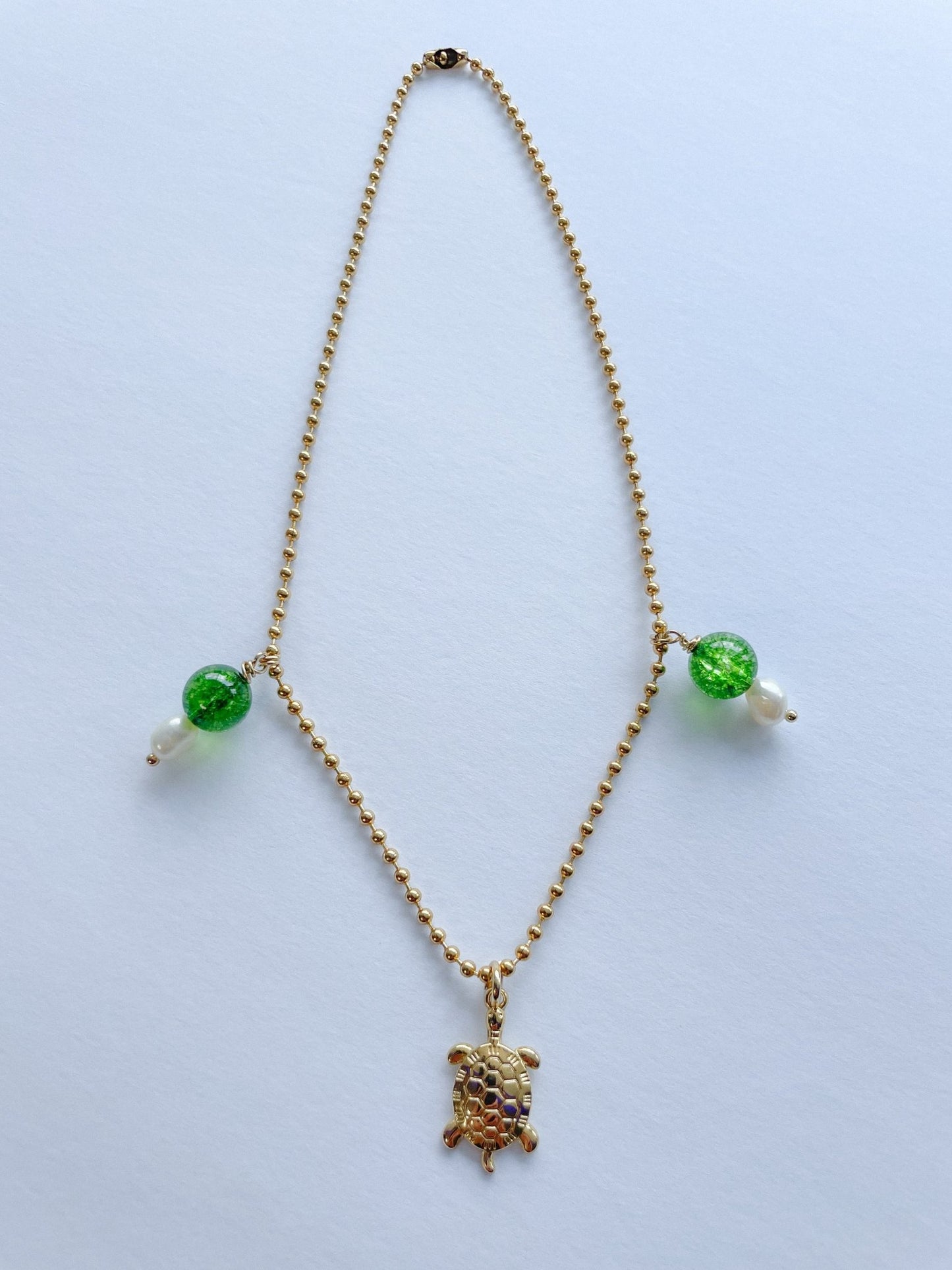 Tortuga de mar - Qué Color?