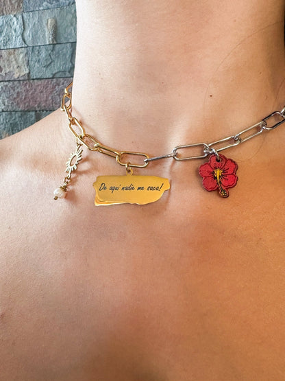 De aquí nadie me saca collar - Que Color?