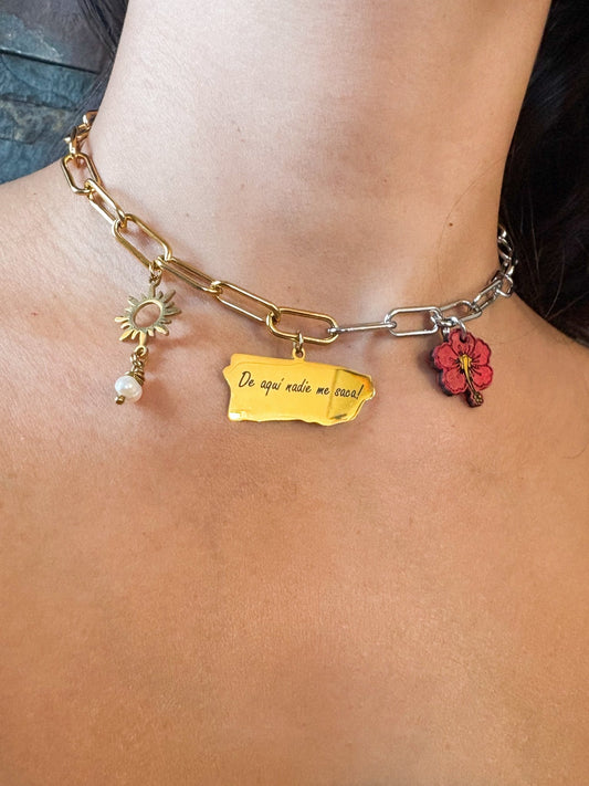 De aquí nadie me saca collar - Que Color?